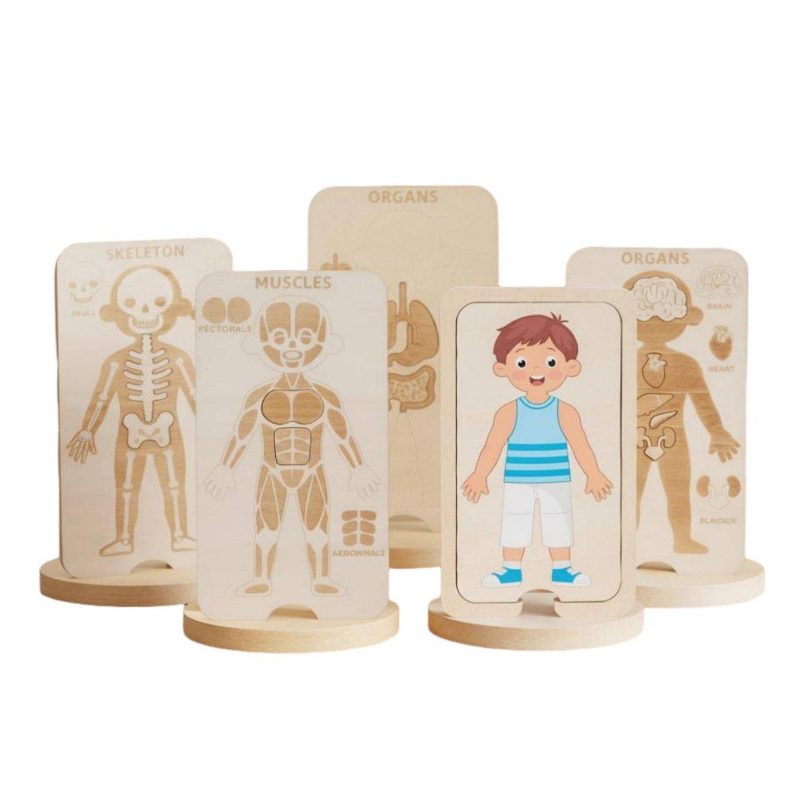 Human Body Puzzle - Mainan Puzzle Kayu Edukatif untuk Anak-anak,