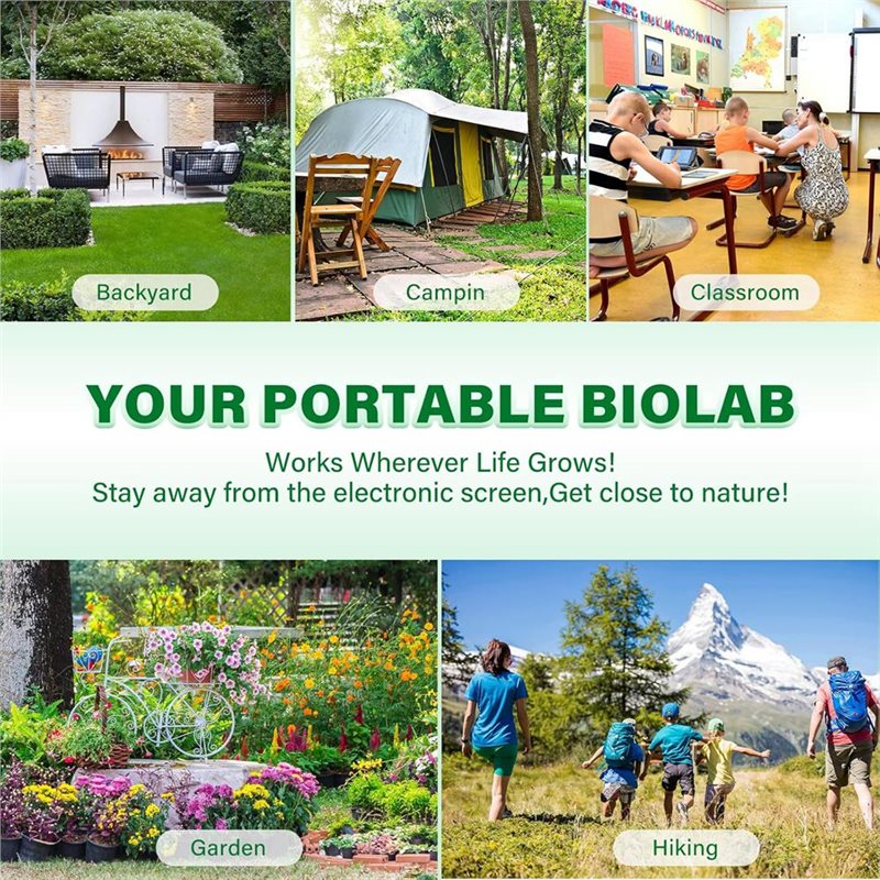 Penangkap Serangga Untuk Anak- - Kids Education Tools ulasan dan harga